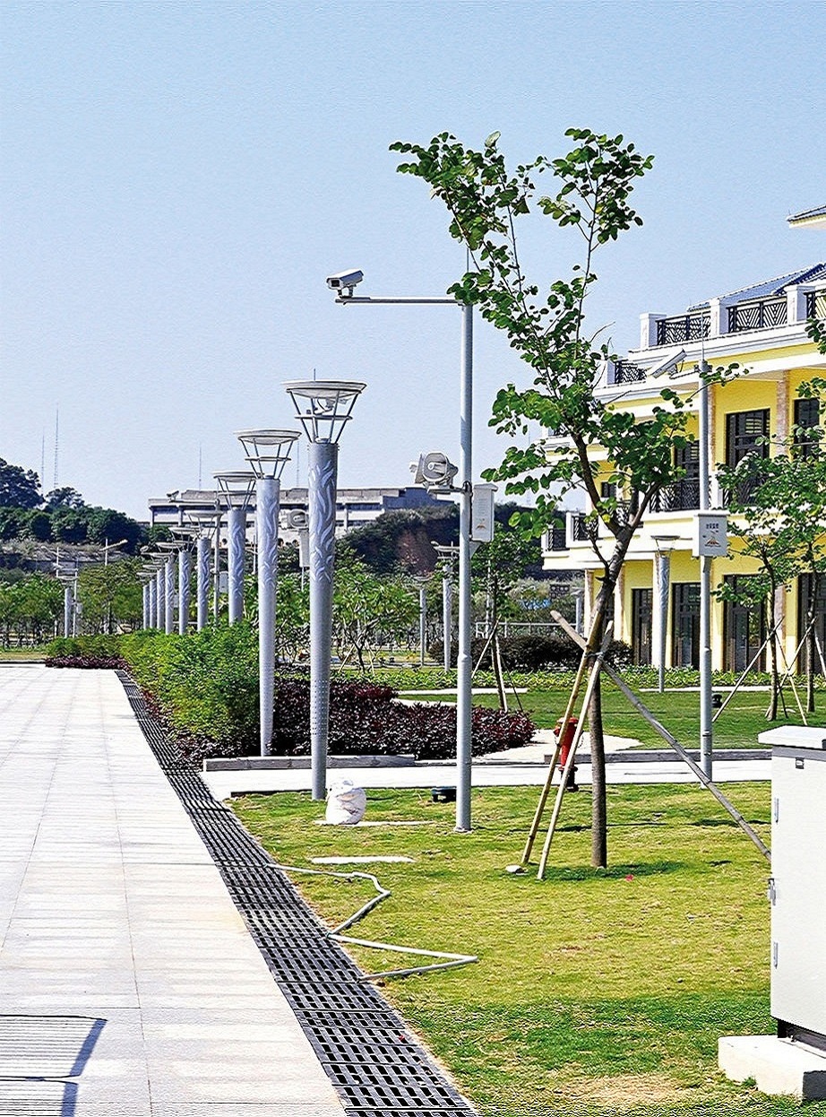 增城市亚运会龙舟比赛赛场周边景观灯饰工程